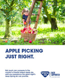 Poster - BS Apple Picking