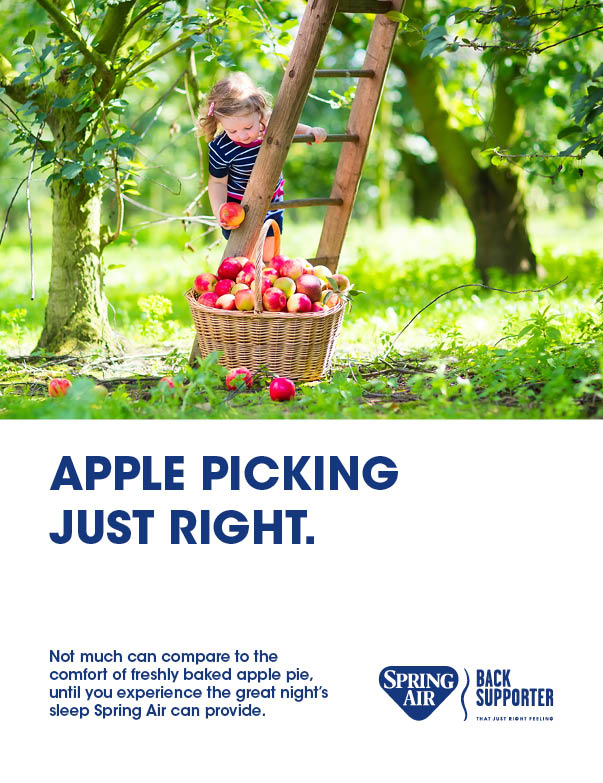 Poster - BS Apple Picking