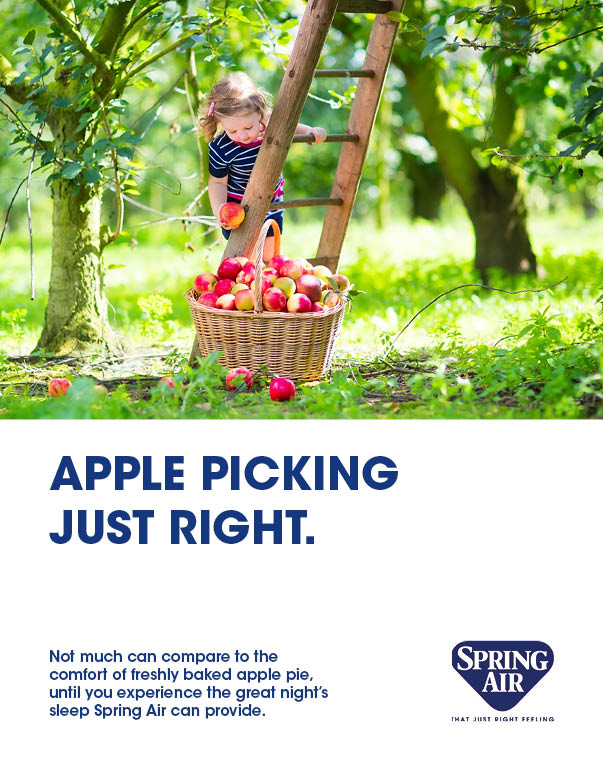 Poster - SA Apple Picking